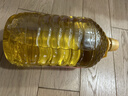 多力【保真菜籽油】芥花油5L 非转基因高油酸食用油粮油植物油 实拍图