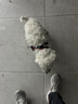 实木凳子多用途小板凳成人凳子坐具高脚凳加高小凳子跳舞凳钓鱼凳 复古色（24*15*23） 实拍图
