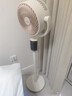 美的（Midea）空气循环扇 电风扇家用立式智能离线语音氛围夜灯净化抗菌换气轻音客厅卧室落地扇 实拍图