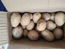 【今年新货】黄心土豆新鲜当季农家自种沙地粉糯黄心鲜土豆马铃薯 【黄皮土豆现挖新货】净重5斤 实拍图