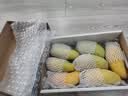 京鲜生  海南金煌芒果 8斤礼盒装 单果约500g 新鲜水果 实拍图