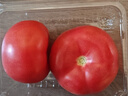 番茄约500g 实拍图