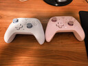 飞智沙漠狐 冰魄蓝 多模版无线游戏手柄 类xbox霍尔扳机switch电脑PC手机steamNS 星露谷物语双影奇境 实拍图