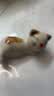 彩格cc388a碳粉适用惠普hp m1136墨粉88a m126a p1106 p1108 p1007 m1213 m1216 m202n m128fn打印机碳粉墨粉 实拍图