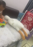 熊猫熊大白鹅玩偶抱枕睡觉毛绒玩具娃娃公仔男生日520送女朋友礼物儿童 实拍图