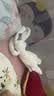 澳贝（auby）婴幼儿玩具小兔安抚巾宝宝哄睡神器阿贝贝新生儿玩偶毛绒手偶礼物 实拍图