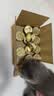 希宝猫罐头猫主食罐头鸡肉牛肝配方进口成猫宠物慕斯罐 70g*24罐 实拍图