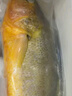三都港 冷冻黄花鱼700g/2条装 宁德大黄鱼 深海鱼 生鲜 鱼类 海鲜水产 实拍图