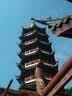 佳能（Canon）尼康 松下 奥林巴斯二手数码相机 佳能g7x2  索尼黑卡 RX100M2 M3  理光gr3富士x100微单相机 单反相机 镜头 松典 实拍图