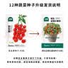 北蔬 各种蔬菜种子生菜草莓香菜小香葱黄瓜阳台四季菜籽 12种蔬菜种子 实拍图