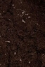 漫生活进口花土营养土20L(2包花种随机)花卉土有机土花盆种植盆基质土肥 实拍图