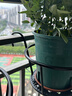 花沃里园艺花架加粗款 花盆托盘阳台园艺挂篮吊兰多肉户外悬挂铁艺挂架 实拍图