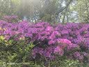 易利丰（elifo）党员大会公司KT选举投票箱选票箱大口纸质收票箱意见箱手提式带锁扣计票箱募捐箱 红色小号 实拍图