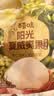 百草味奶油味夏威夷果100g*3袋 实拍图