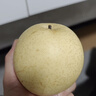 京鲜生 长城河北皇冠梨 4.5斤装 单果250g+ 国家地标产品 生鲜水果 实拍图