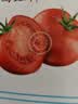 番茄约500g 实拍图