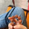 茂悦五瓣爆肉纹大金刚盘玩手串菩提子原籽男士文玩佛珠核桃手链把件 五瓣爆肉纹大金刚 实拍图