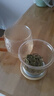 忆壶茶（YIHUTEA） 茶杯玻璃茶具加热杯垫套装泡茶道杯 绿茶杯红茶带过滤茶水分离杯 茗雅杯400ml 实拍图