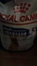 皇家狗粮老年成犬狗粮犬粮宠物大型犬SGR26全价犬粮≥5岁15KG 实拍图