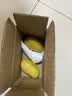 四川凯特芒 青黄皮 芒果9斤新鲜应当季热带水果现摘甜心芒 2枚装小果200g+净重400g+ 实拍图