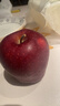 京鲜生甘肃天水花牛苹果 又大又红 净重4.5斤 单果160g起 生鲜水果 实拍图