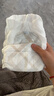 巴布豆（BOBDOG）菠萝裤拉拉裤XL码36片（11.5-14kg）婴儿尿不湿 超薄透气 实拍图