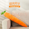 欢宠网宠物狗玩具狗狗耐咬磨牙发声自己玩解闷自嗨神器小狗幼犬边牧比熊 实拍图