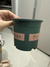 花盆绿植盆栽加厚塑料简约多肉小盆阳台客厅月季玫瑰大号家用花盆 矮款0.5加仑(口径10cm)1个盆 不带托盘 实拍图