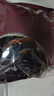 双塔东北黑木耳500g肉厚无根干木耳东北特产小碗耳火锅食材南北干货 实拍图