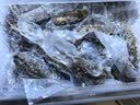 参福元  大连 冷冻鲜食即食海参 优选 一斤家庭装 7-12头/袋 实拍图
