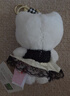 Hello Kitty三丽鸥毛绒玩具布娃娃玩偶钥匙扣生日520送女朋友礼物凯蒂猫挂件 实拍图
