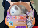 雅斯妮儿童玩具毛绒电动仿真宠物猫会动会叫带牵绳3-6岁女孩儿童节礼物 实拍图