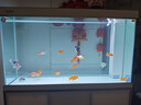 森森（SUNSUN）大型鱼缸底过滤水族箱客厅家用落地玻璃生态金鱼缸 【实时温显+灯控】珍珠白 1.2米长35cm宽 实拍图