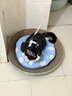疯狂的主人 猫抓板窝超大号猫玩具猫爪板猫抓盆不掉屑猫窝碗形圆形瓦楞纸 实拍图