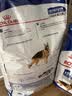 皇家狗粮 成犬狗粮 犬粮 宠物大型犬 GR26全价犬粮≥15月15KG 实拍图