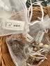 井井标记标签打印机元气miniL1家用热敏打印标签机小型手持便携式蓝牙打价格标签机彩色便签手账收纳贴纸 奶霜白（机器+3卷标签纸） 实拍图