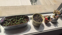 IAM City Farmer盆栽小萝卜DIY种植趣味萝卜种子家庭种菜幼儿园儿童好种易活10100 实拍图