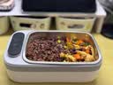 德国品牌电热保温饭盒不锈钢便携学生上班族专用无线加热饭盒智能温控定时不插电免注水电热官方正 实拍图