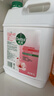 滴露（Dettol）洗手液补充装大桶消毒滋润5L 儿童家庭装杀菌护手 实拍图