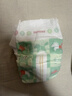 好奇（Huggies）森林密语纸尿裤S56片(4-8kg)尿不湿【清透纯净】 实拍图