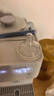 布朗博士婴儿奶嘴 宽口径硅胶圆孔中流速 9月+ (2个装) 爱宝选PLUS 实拍图
