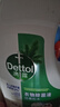 滴露（Dettol）衣物除菌液松木3L 内衣袜子衣物长效杀菌除螨 衣服消毒液儿童可用 实拍图