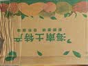 当季四川凯特芒大果新鲜采摘水果芒果爆甜多汁京东包邮37 带箱1斤净重0.7斤 单果300g+ 实拍图