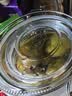 喜碧（Scybe）泡酒容器密封罐6斤装泡酒瓶泡菜坛子腌菜缸腌蛋玻璃罐潘多拉3.2L 实拍图