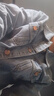 真维斯（Jeanswest）牛仔夹克男2026春夏牛仔外套男士宽松潮牌舒适百搭上衣服蓝色XL 实拍图
