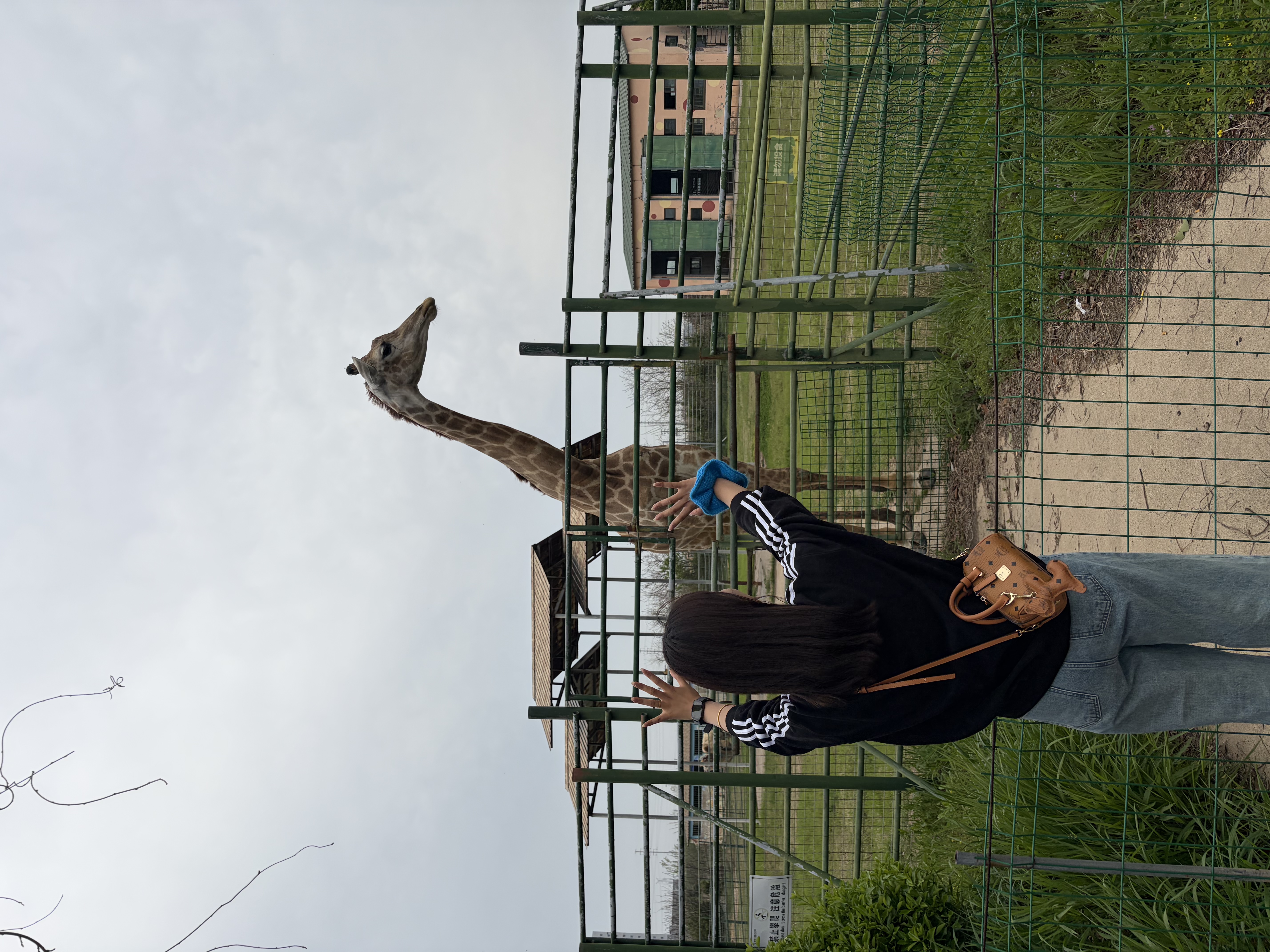 骆驼（CAMEL）圆领套头卫衣女百搭休闲宽松运动上衣 C25CAYL6041 幻影黑 M 实拍图