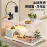 阔庭（KUOTING）过滤款乌龟缸生态缸宠物饲养箱透明水陆爬宠两用白色【特大号】 实拍图