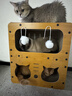 【京东快递】猫抓板猫窝一体式耐磨耐抓逗猫神器 45猫别墅【三层豪华款】 实拍图