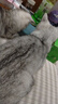 卫仕 五拼冻干全价全阶段猫粮 猫干粮 成猫幼猫高蛋白粮 山海盛宴 6kg 实拍图