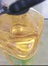 西王 食用油 玉米胚芽油6.18L 非转基因物理压榨 （新老包装随机发） 实拍图